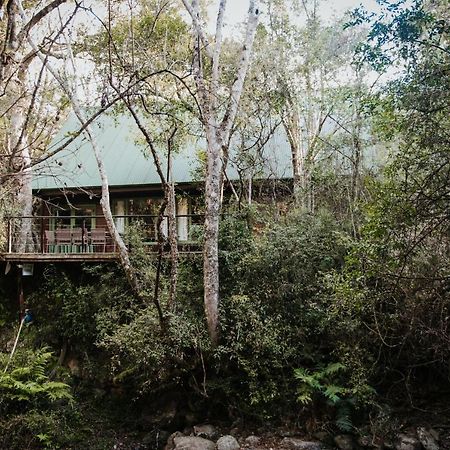 Rockwood Karkloof Forest Lodge & Mountain Cabin Yarrow 외부 사진