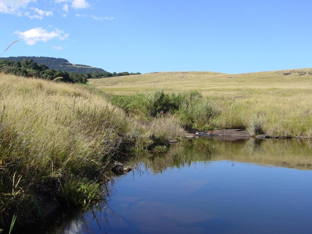 Rockwood Karkloof Forest Lodge & Mountain Cabin Yarrow 외부 사진