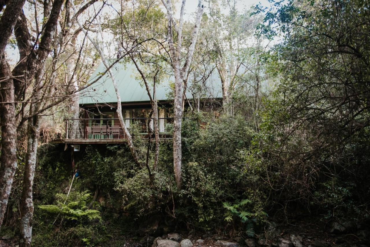 Rockwood Karkloof Forest Lodge & Mountain Cabin Yarrow 외부 사진