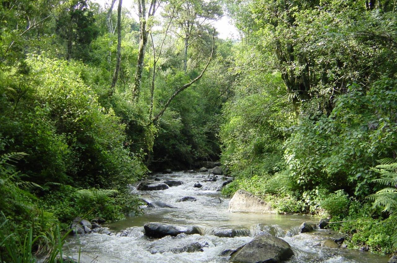 Rockwood Karkloof Forest Lodge & Mountain Cabin Yarrow 외부 사진